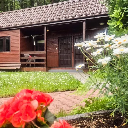 1 Bedroom Gorgeous In Łazy