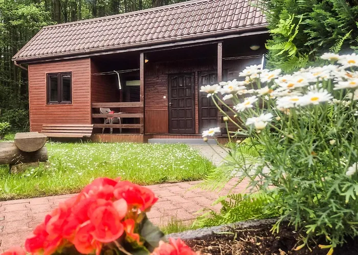 1 Bedroom Lovely In Łazy